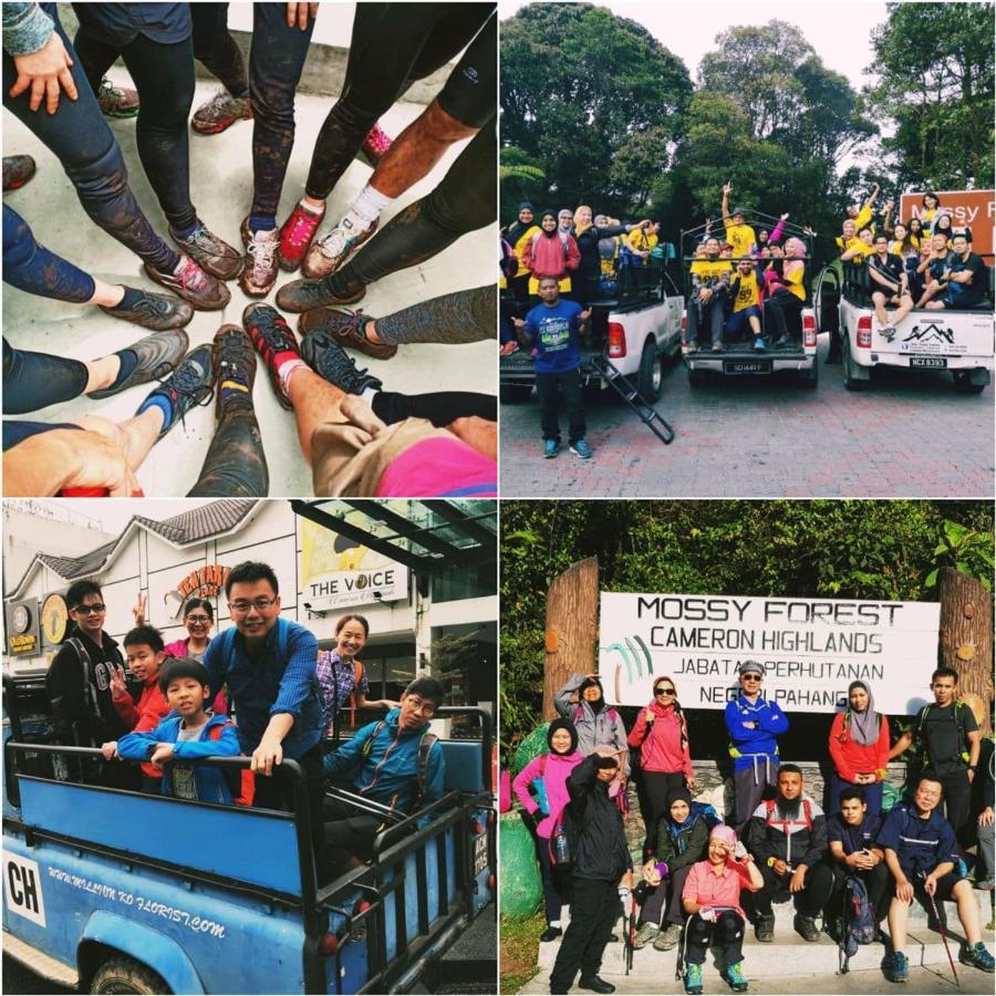 The Cocoon Capsule Hotel Cameron Highlands Luaran gambar